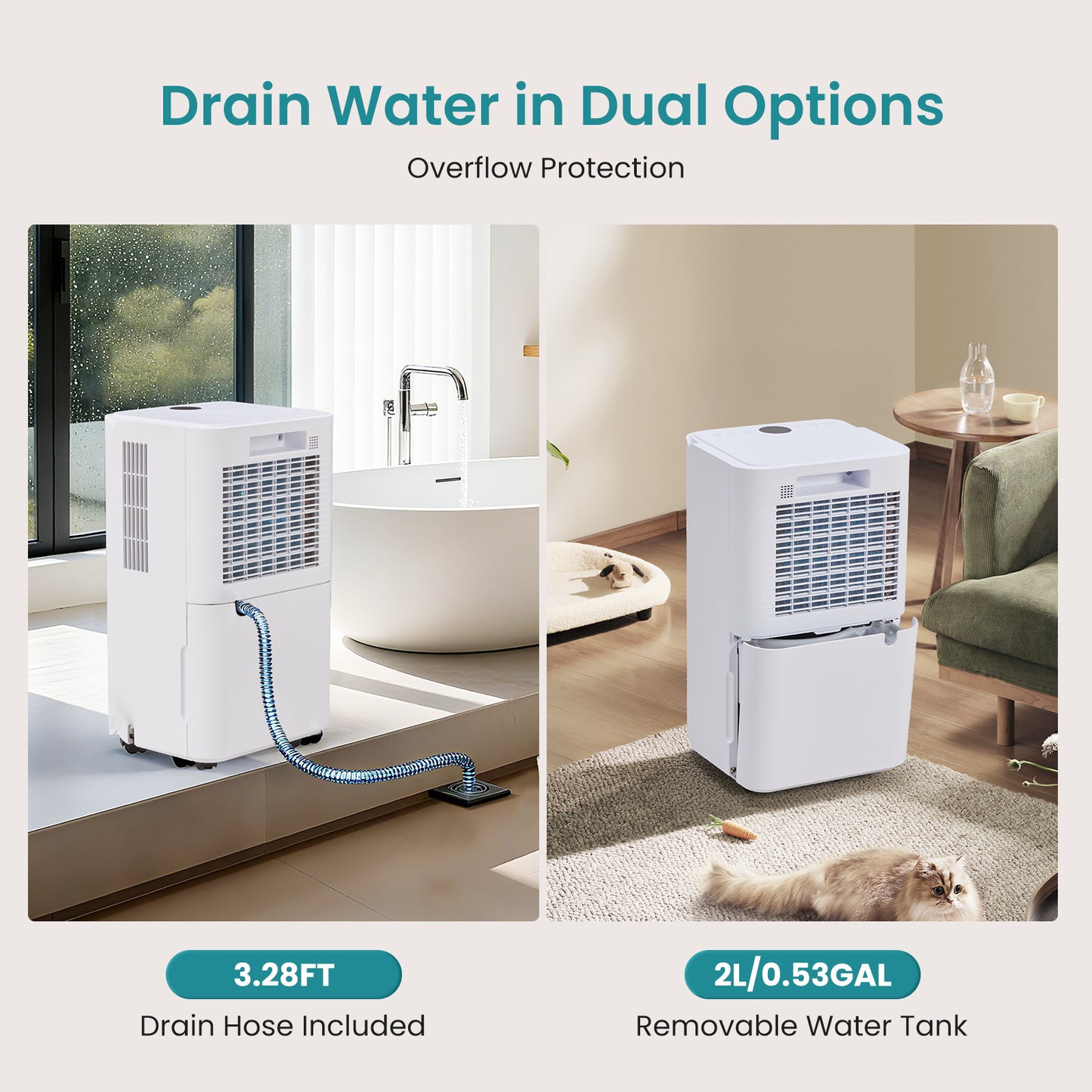 5500 Sq.Ft Energy Star Dehumidifier for Basement with Drain Hose, 50 Pint Portable Dehumidifiers for Home Bedroom Bathroom Large Room, Powerful Moisture Removal and Humidity Control
