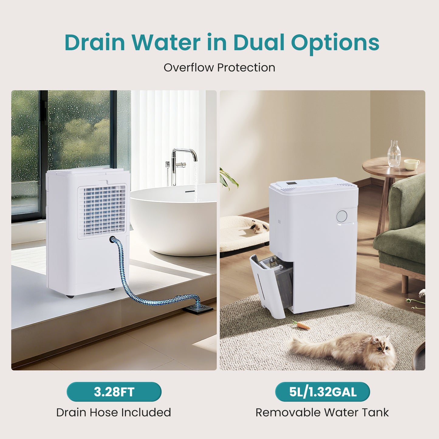 5500 Sq.Ft Energy Star Dehumidifier for Basement with Drain Hose, 50 Pint Portable Dehumidifiers for Home Bedroom Bathroom Large Room, Powerful Moisture Removal and Humidity Control