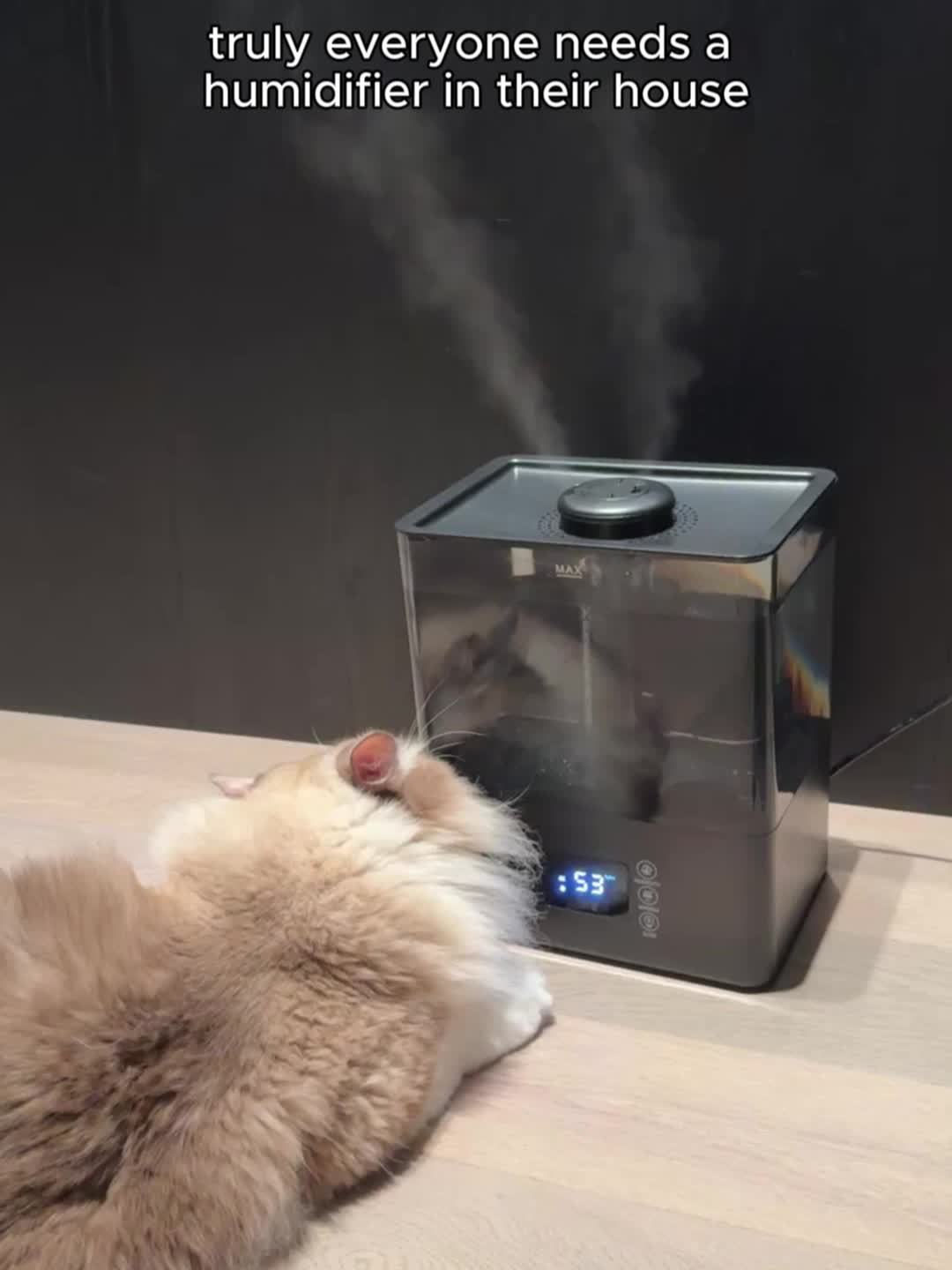 Humidifier: 1.85Gal/7L Humidifiers for Home, Humidifiers for Bedroom / Baby / Plants/Office, Luxury Large-Capacity Aroma System for Whole-Home Fragrance. Humidity Control Display Diffuser: Top-Fill, 360° Nozzle & Dual Mist,
