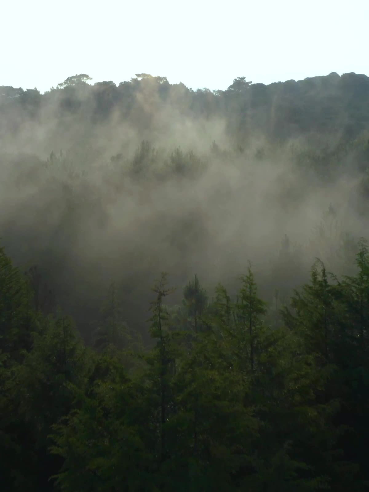 Men's Rain Suit High Visibility Reflective Jacket Pants