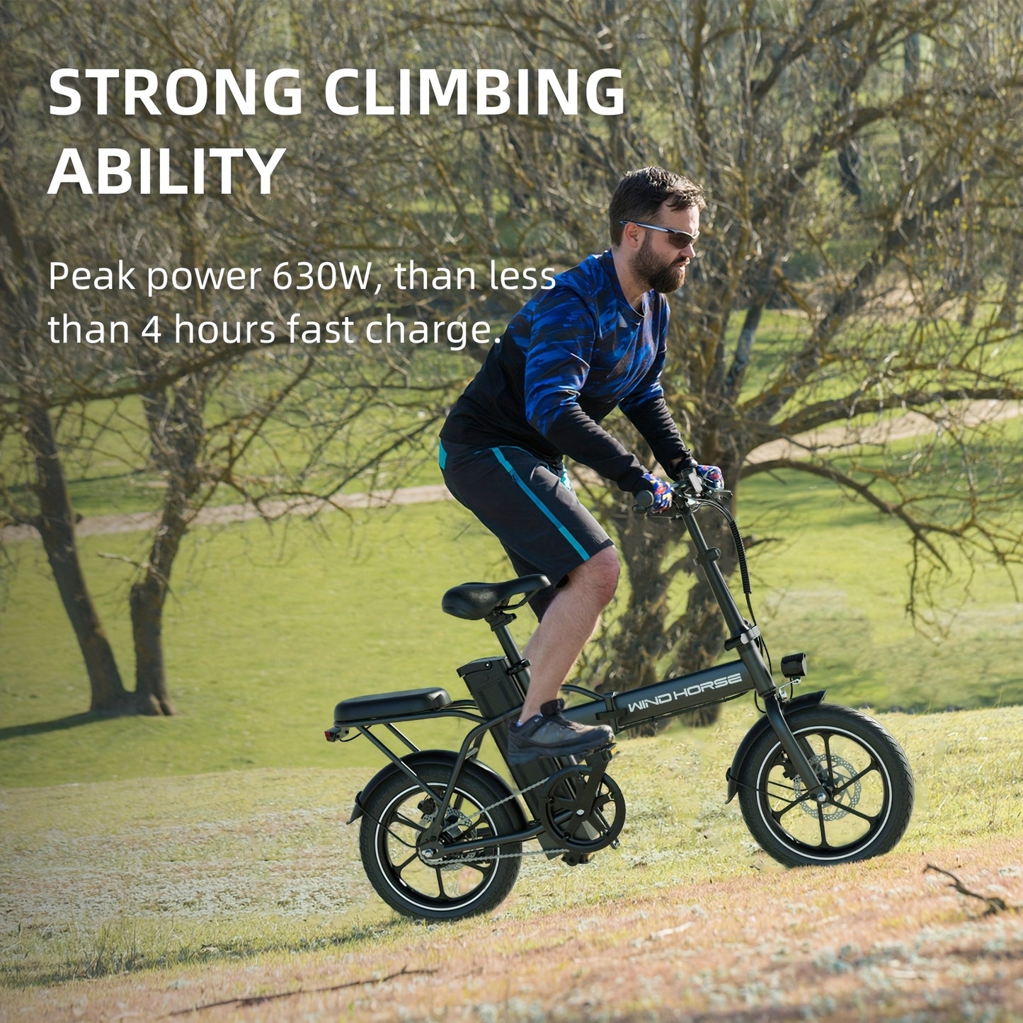 WindHorse Foldable Electric Bicycle For Commuting Daily