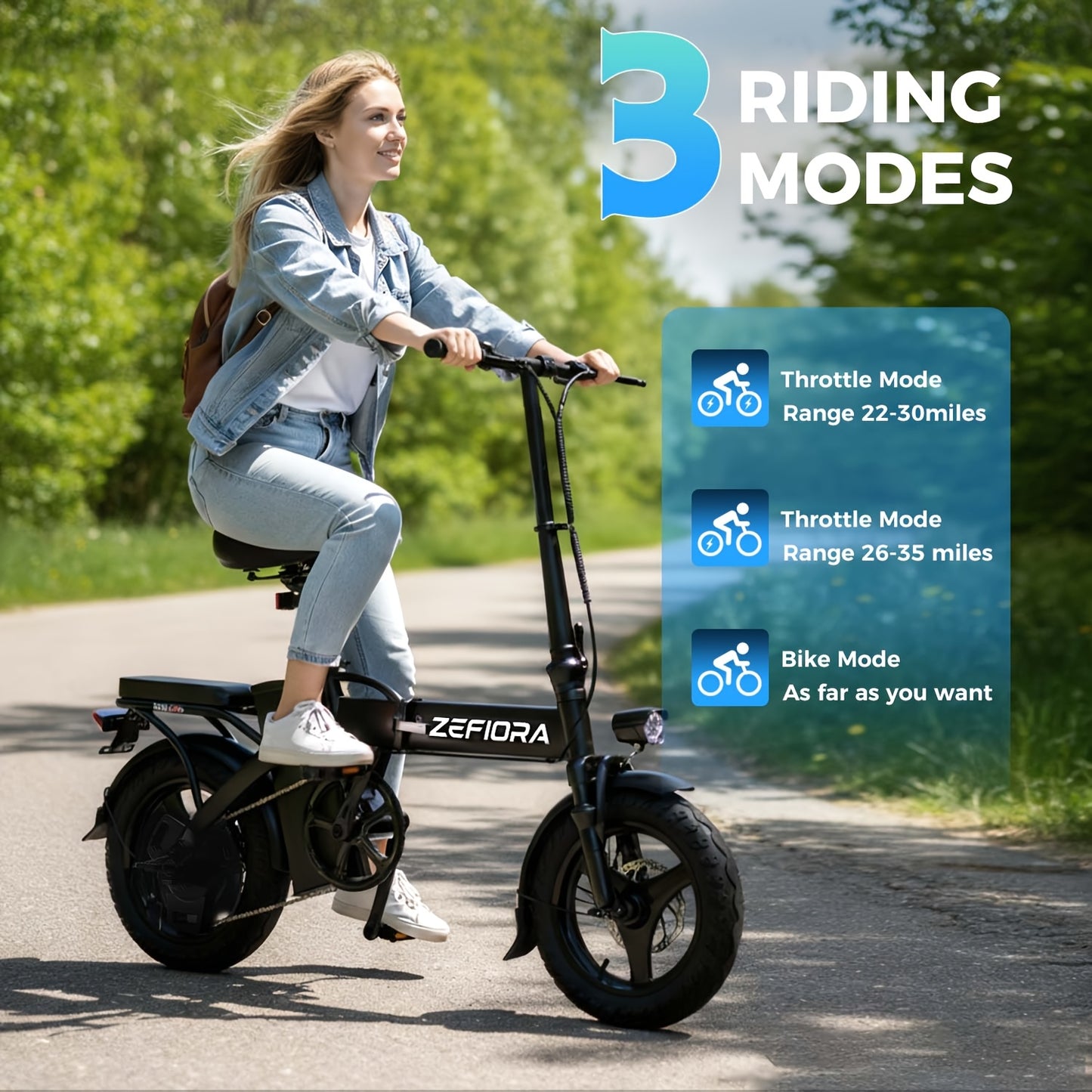 Folding Electric Bicycle 740W Motor, Removable 48V Battery