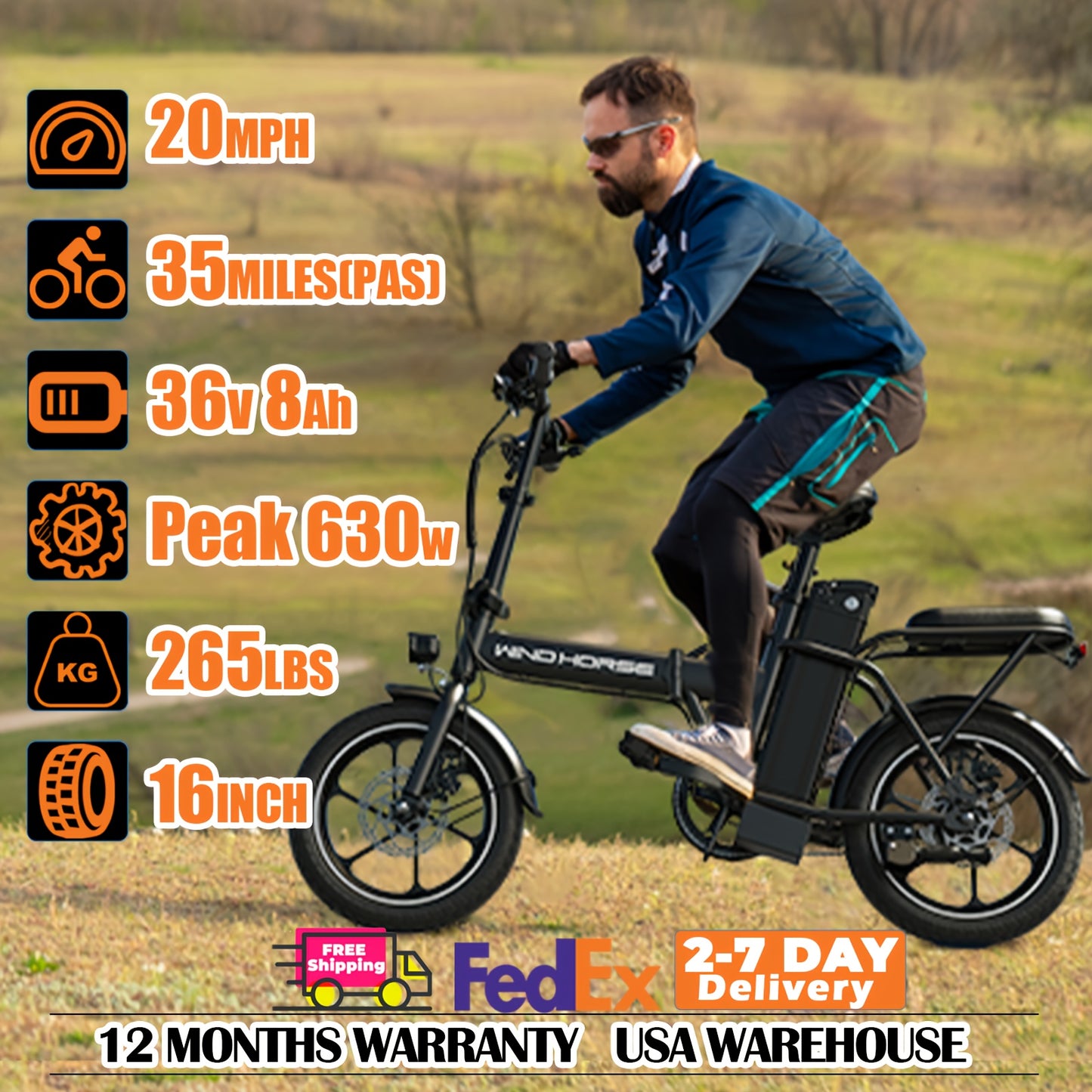WindHorse Foldable Electric Bicycle For Commuting Daily