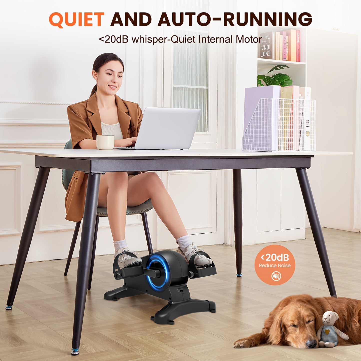 FEIERDUN Under Desk Exercise Bike 12-Speed Pedal Exerciser